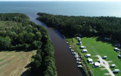 Månadsrapport Dalbergså/Holmsån juli 2026